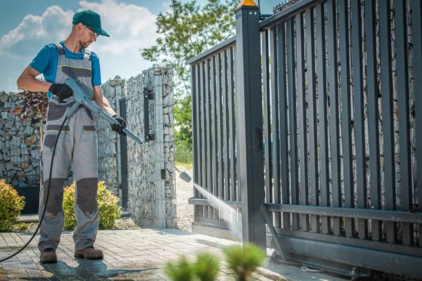 Best Rust Removal  in Greenville, AL