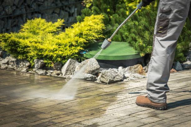 Best Solar Panel Cleaning  in Greenville, AL