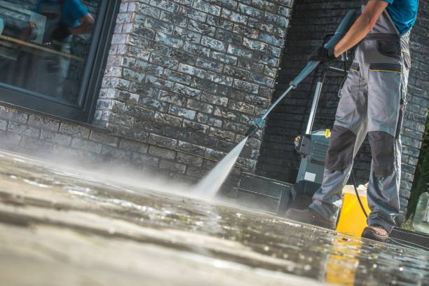 Best Roof Washing  in Greenville, AL