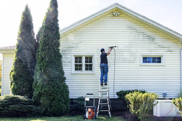 Best Driveway Pressure Washing  in Greenville, AL